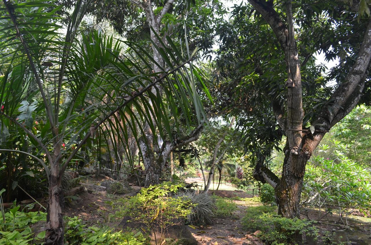 Amanwana Ecofinca Hotel Melgar Eksteriør billede