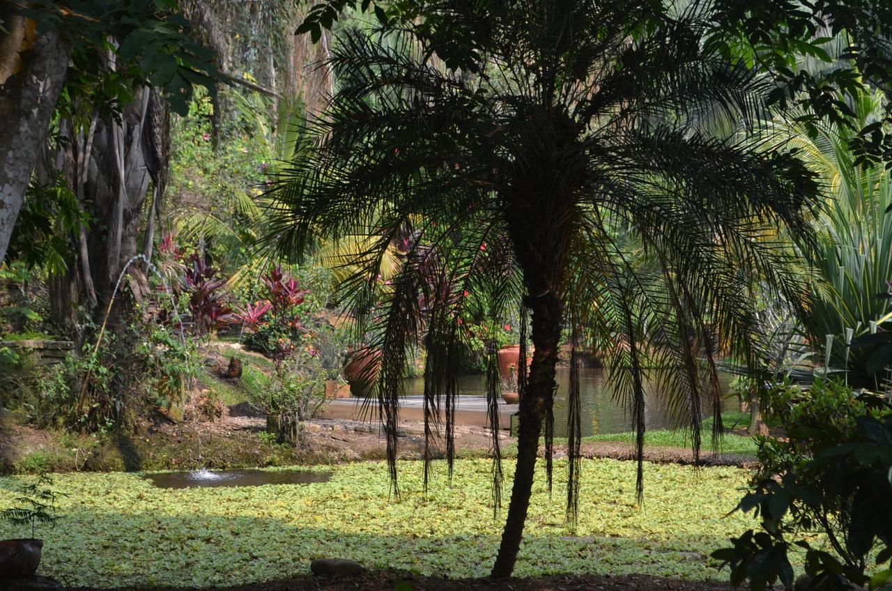 Amanwana Ecofinca Hotel Melgar Eksteriør billede